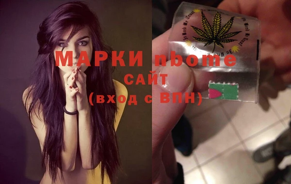стаф Кулебаки