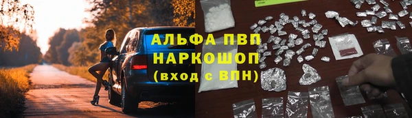 соль ск Ладушкин