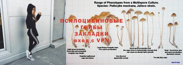 молекула духа Куйбышев