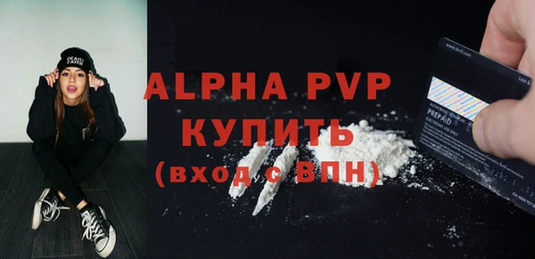 стаф Кулебаки