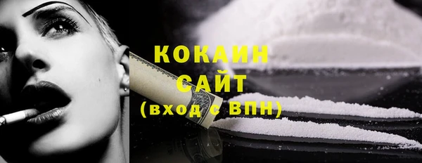 стаф Кулебаки
