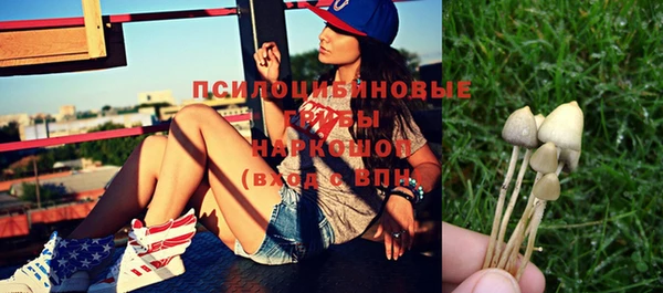 mix Лабытнанги