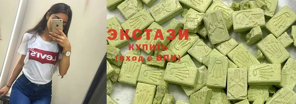 стаф Кулебаки