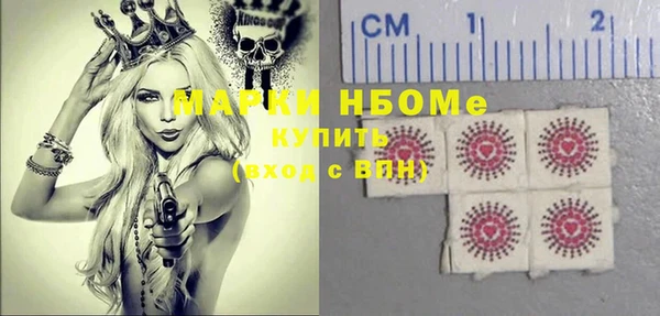стаф Кулебаки