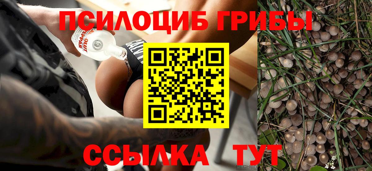 Галлюциногенные грибы Cubensis Тихорецк